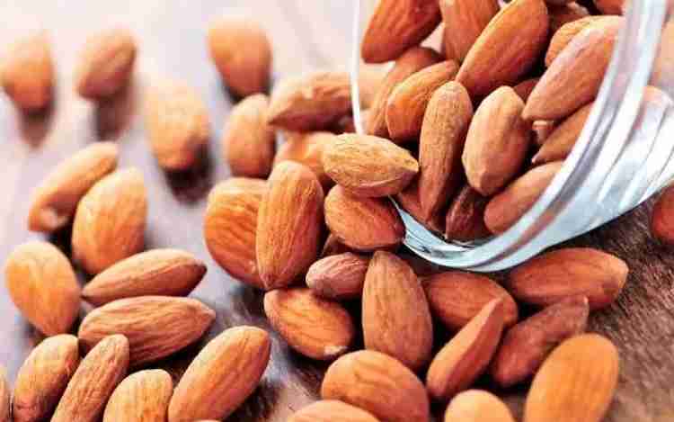 Health Benefits of Almond Seeds (Almonds)
