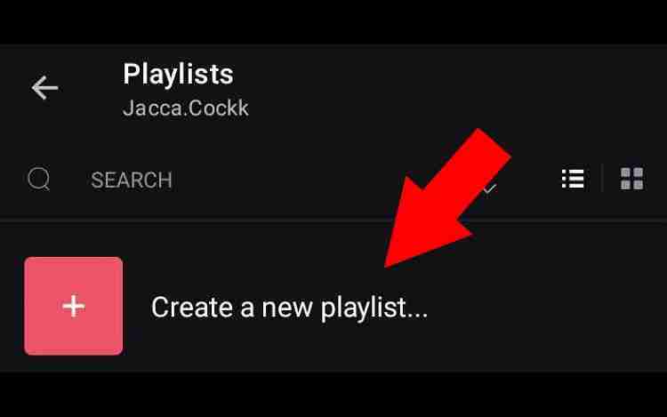 Create Stellar Playlists and Collaborate (5 Effective Strategies to Rank Your YouTube Channel )