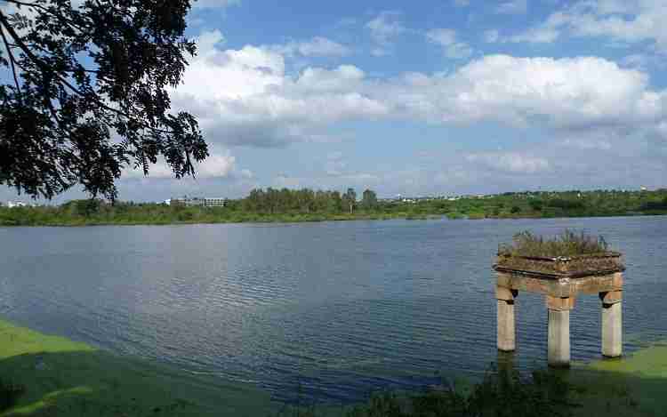 Lingambudhi Lake Mysore