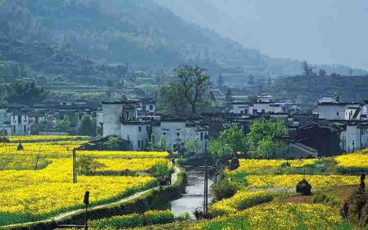 Wuyuan Villages